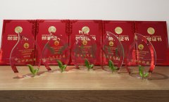 “太阳集团电子游戏杯”浙江省节地生态安葬设计作品奖