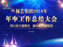 太阳集团电子游戏集团2018年中总结报告（摘要）