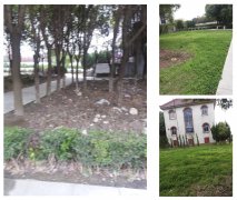 老墓园改造：城市中的绿色记忆与文化传承