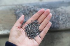 石语新章：仿真保护箱中的生态启示录
